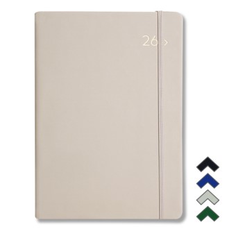 2026 DV PRO3�÷��� ���� 25�� ���̾