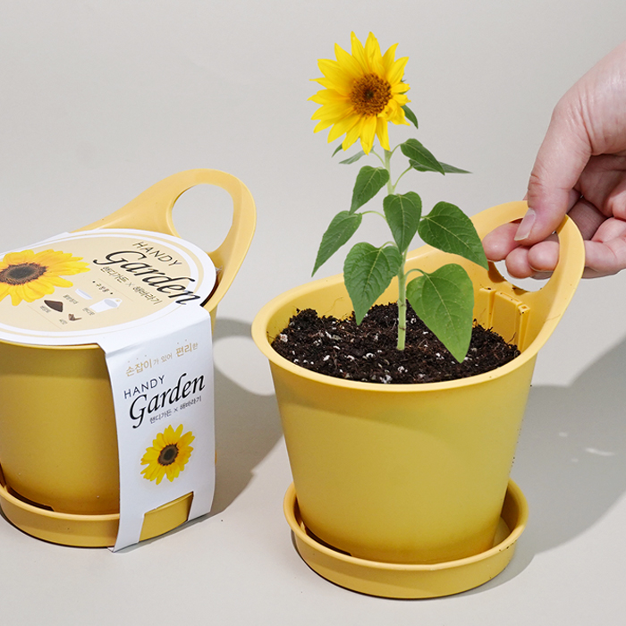 �ڵ𰡵�-�عٶ��