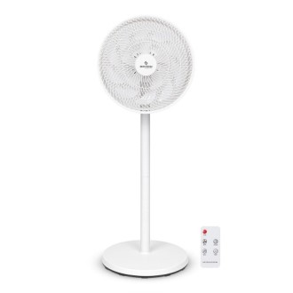 ���� ������ 15�� �����ŧ��